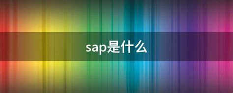 做SAP是什么意思 - 业百科
