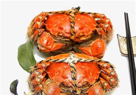 螃蟹怎么保存在冰箱多久可以吃 - 生活常识 - 懂了笔记