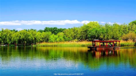 北京暮春那一抹淡紫色 绚烂雅致-天气图集-中国天气网