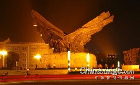 四平鸽市--中国信鸽信息网相册