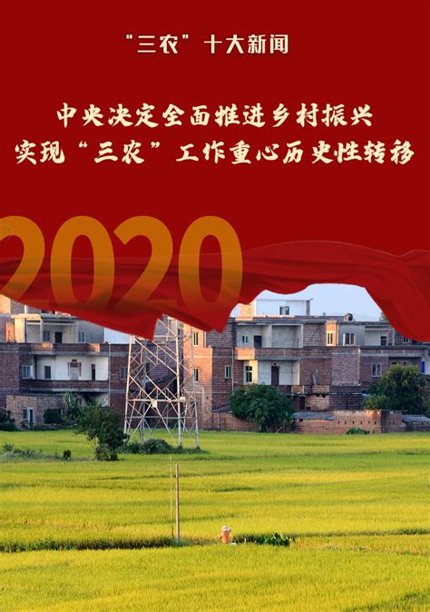 2020年“三农”十大新闻|乡村振兴|三农|农业农村_新浪新闻