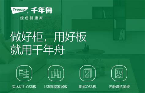 企业官网定制设计|杭州本地网站设计服务