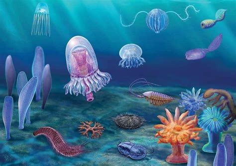 5.4亿年前生物进化点燃寒武纪大爆发 - 文章 - 环境生态网