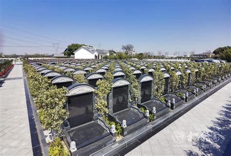 165区 - 中式墓 - 上海松鹤园一级公墓