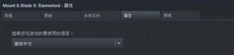 《骑马与砍杀2》中文设置页面在哪 中文设置页面介绍_骑马与砍杀2_九游手机游戏
