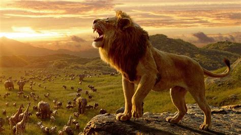 狮子王剧情介绍-狮子王上映时间-狮子王演员表、导演一览-排行榜123网
