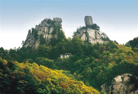 汉山奇植物图片