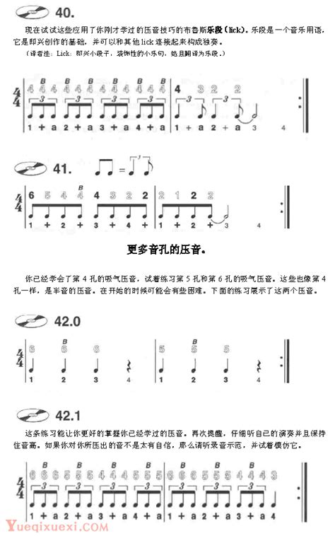 布鲁斯口琴自学教程10讲之第四课:和弦的演奏-十孔口琴教程 - 乐器学习网