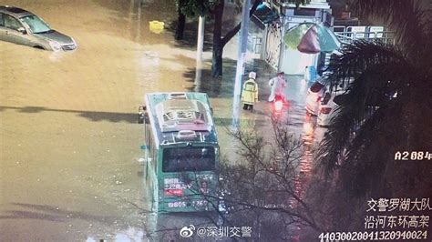 深圳罗湖暴雨高架桥下6台车被淹，深圳交警：积水已退正处理_手机新浪网