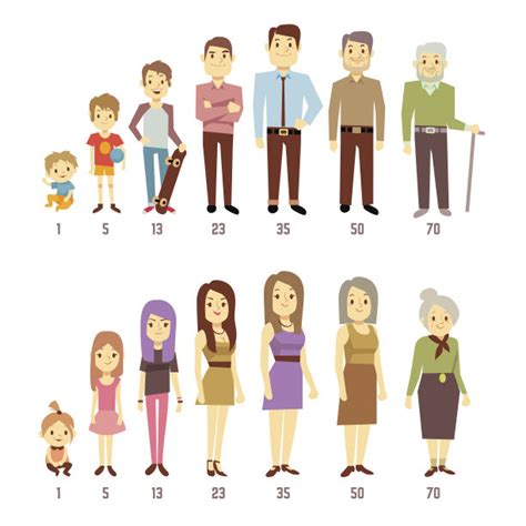 矢量卡通棒图解人类从婴儿到老年人的龄化过程概念说明插画图片下载-正版图片305559923-摄图网