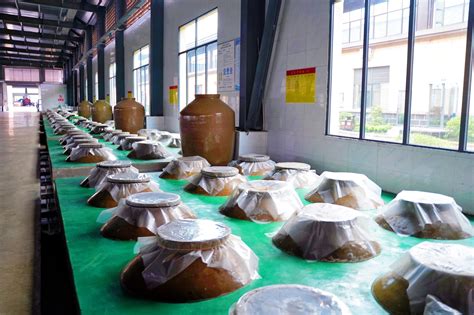 共同富裕共建广安集中采访⑧｜重庆毛哥食品武胜生产基地一期项目基本完成_四川在线