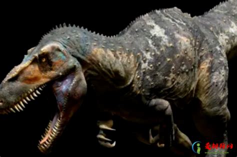 最大的恐龙排行，世界最大的十大恐龙，阿根廷龙位列榜首，高度达35米
