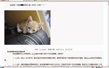 复旦研究生虐猫事件当事人网上发帖表示忏悔_新闻中心_新浪网