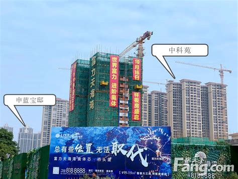 湛江（东海岛）项目成功融资4亿，加快推进美丽乡村建设