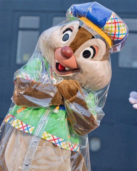 上海迪士尼下雨天哪些项目会影响 上海迪士尼下雨会放烟花吗 - 四叶子