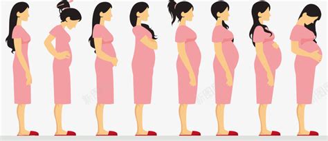 十月怀胎是一个不易的过程 从怀孕到分娩 要历经九九八十一难……_新浪新闻
