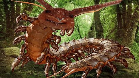 地球上5大体型巨大的蜈蚣，第五中国红巨龙蜈蚣，有百足的美称|蜈蚣|巨龙|巨人_新浪新闻