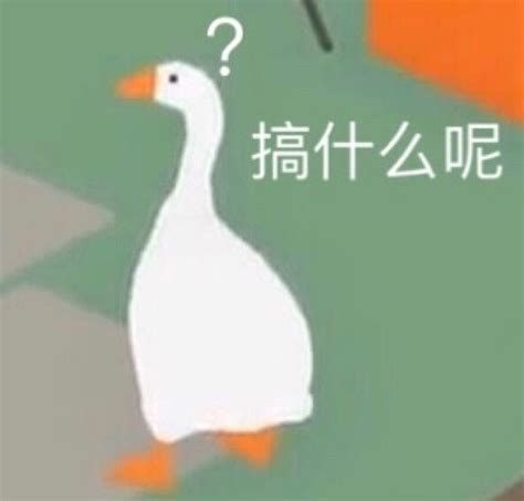 焦头烂额鹅图片