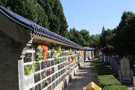 165区 - 中式墓 - 上海松鹤园一级公墓