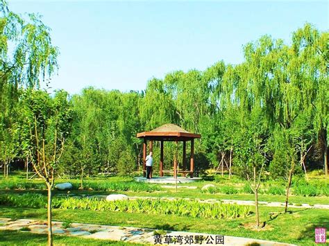 评北京市昌平区的北郊农场桥改造：更名回龙观北桥、有公交专用道_回龙观社区网