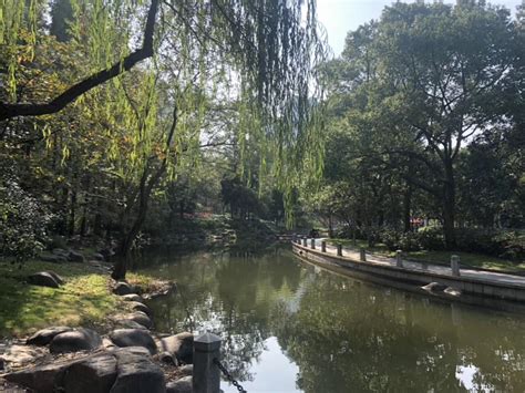 2020徐家汇公园-旅游攻略-门票-地址-问答-游记点评，上海旅游旅游景点推荐-去哪儿攻略