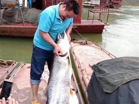 吉林集安老虎哨水库-----乾坤湾-中关村在线摄影论坛