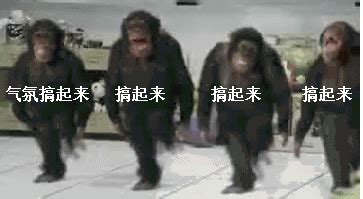请问这种猴子的QQ表情叫什么，要去哪里找才有-这个猴子表情叫什么？