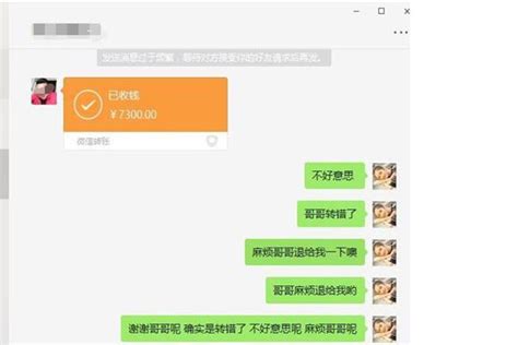 重庆姑娘转错账 网友助力18个小时将钱追回_湖北频道_凤凰网