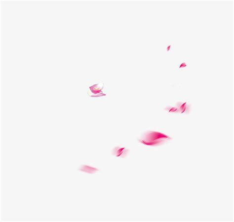 漂浮元素-飘散白色花瓣花朵-好图网