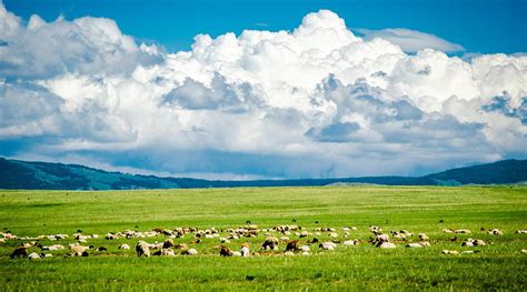 内蒙古旅游必去十大景点 旅游攻略