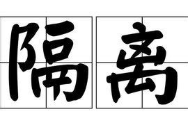 保护性隔离 的图像结果