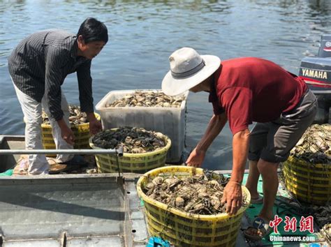 洪泽湖国家级水产种质资源保护区实现全天候全时空智慧化监管- 洪泽湖渔业