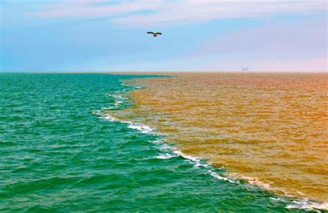 9张航拍黄河入海口的照片，你最喜欢哪一张？