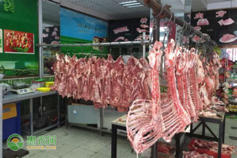 中国羊肉最好吃的地方在哪？收好这份吃“羊”地图去打卡吧！_生鲜食品_什么值得买