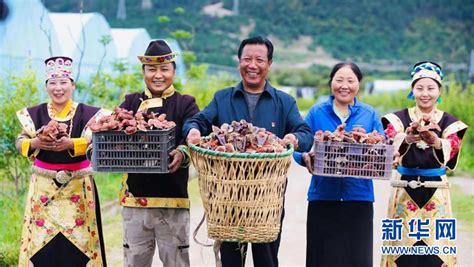 西藏林芝：桃花盛开-人民图片网