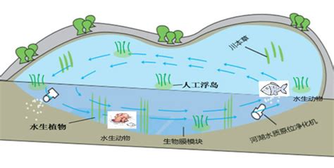 农村污水与污染坑塘同步治理技术探索 - 环保网