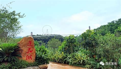 广东信宜市五个值得一去的旅游景点(信宜景点推荐) - 联途