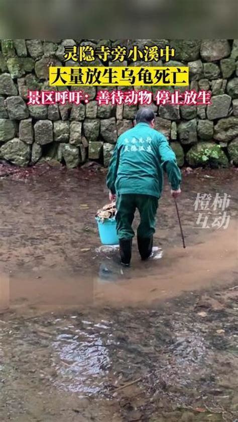 衢州用数字生态警务为野生动物撑起“保护伞”凤凰网浙江_凤凰网