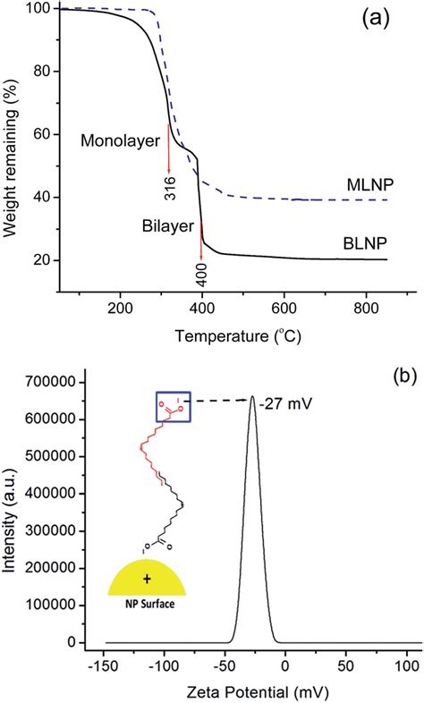 (a) Thermogravimetric profiles of MLNP and BLNP, and (b) zeta potential ...