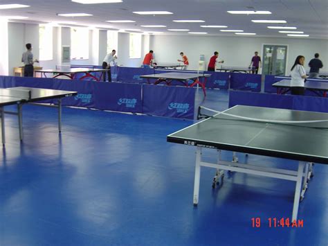 国内乒乓球场地专用地胶 - [塑胶地板,塑胶地板] - 全球塑胶网