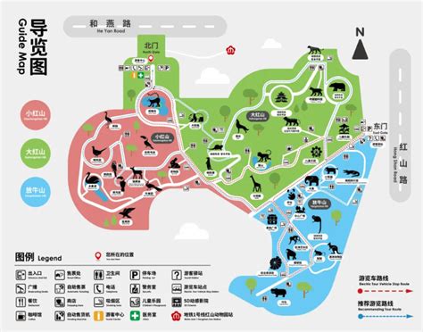 红山动物园：不再孤独矗立丨回望·2021_荔枝网新闻