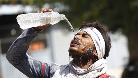 印度遭遇100年来最恐怖高温，多人被热死，鸟儿被热到坠地|印度_新浪新闻
