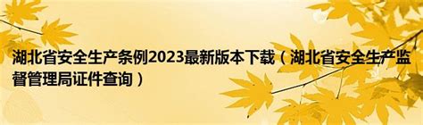 湖北省安全生产条例2023最新版本下载（湖北省安全生产监督管理局证件查询）_车百科