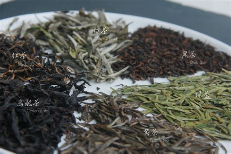茶叶的品种 - 昵茶网