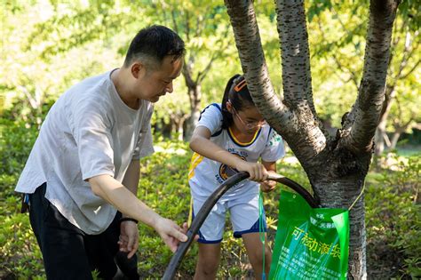 给树打针浇水，挥汗体验“绿化人”_生态频道_新闻中心_长江网_cjn.cn