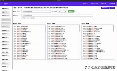 中国网站关键词优化 的图像结果