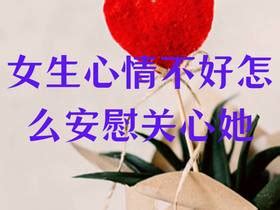 怎么安慰女生头像温柔