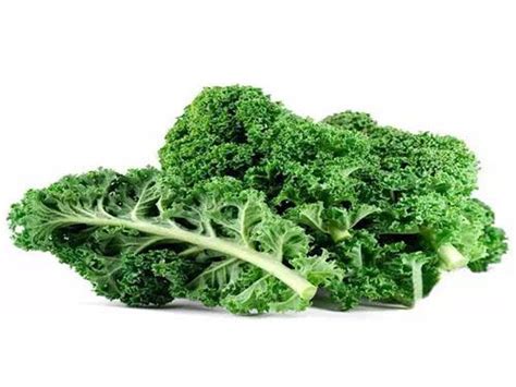十大防癌蔬菜有哪些 什么蔬菜能防癌_植物博士