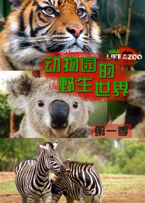 动物园的野生世界 第一季(Wild Life at the Zoo Season 1)-纪录片-腾讯视频