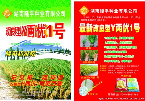 玉米种子海报_玉米种子海报图片_玉米种子海报设计模板_红动中国